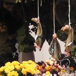 Foto: hängende Galgenvögel über Blumensträußen.