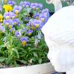 Foto: Stillleben aus weißem Kopf einer Büste rechtsseitig und Teil einer Pflanzenschale mit blauen Blüten linksseitig dahinter.